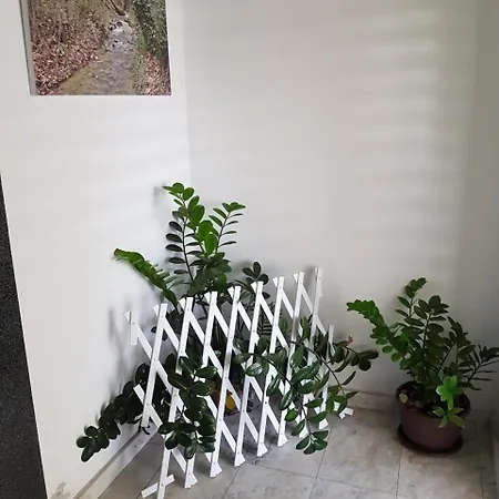Apartament Modern Sunny Studio Apt